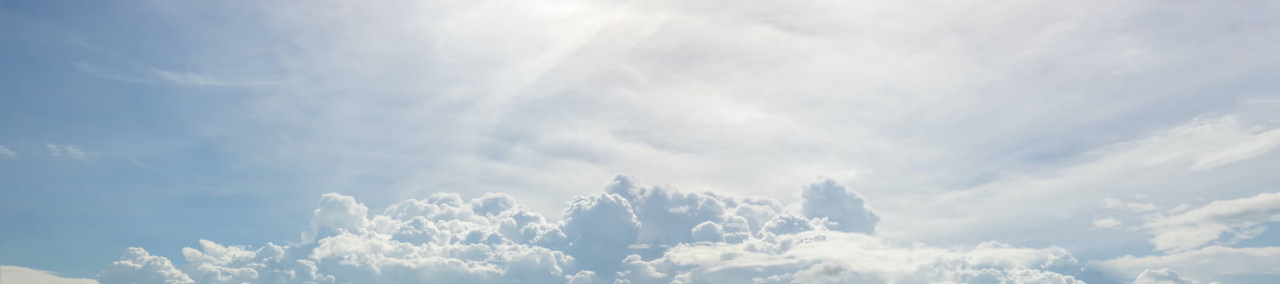 沿革